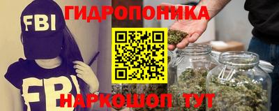 эйфоретик Бердск
