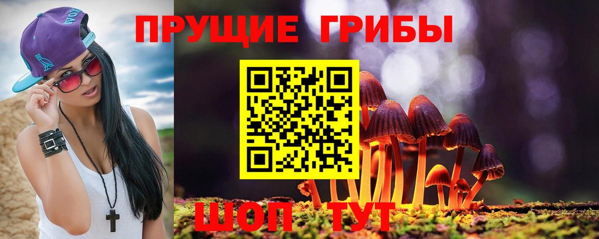 Галлюциногенные грибы ЛСД Белорецк